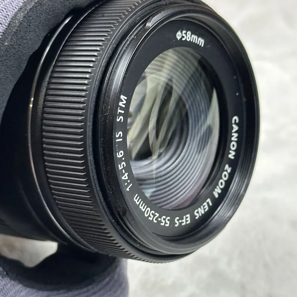 Canon EF-S 55-250mm f/4-5.6 IS STM Lens + Viltrox EF-EOS M Adapter Tested